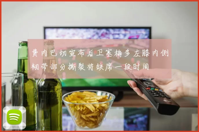 费内巴切宣布后卫塞梅多左膝内侧韧带部分撕裂将缺席一段时间