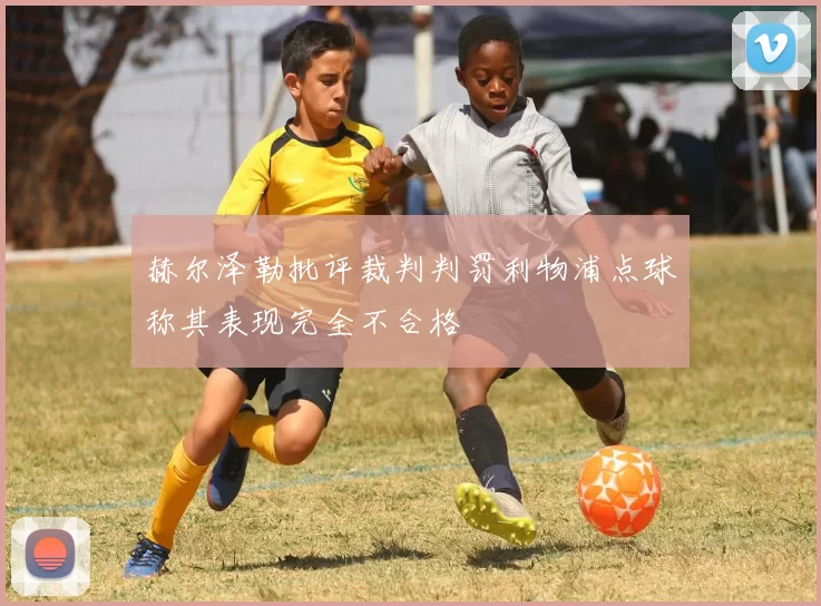 赫尔泽勒批评裁判判罚利物浦点球称其表现完全不合格