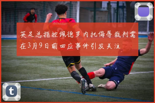 英足总指控佩德罗内托侮辱裁判需在3月9日前回应事件引发关注